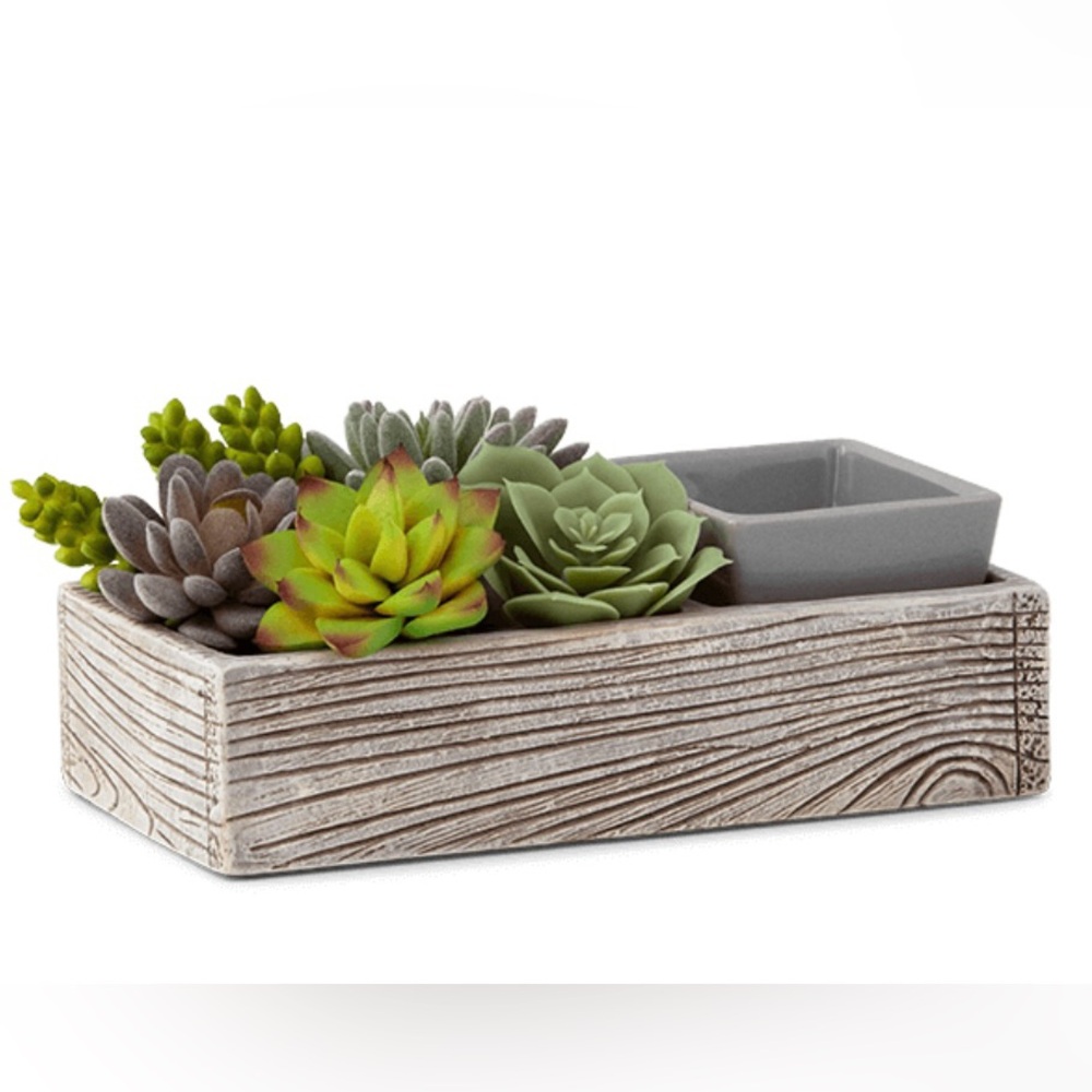 Scentsy Suc-cute-lent Warmer all pieces included